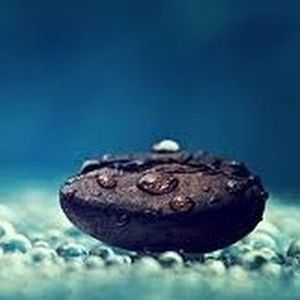 Meet your Posher, Yonique